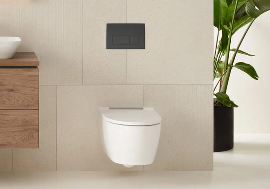 Клавиша смыва для унитаза GEBERIT DELTA 50 / черная матовая (115.119.14.1)
