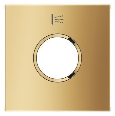 Змінна металева табличка з символом "розпилювач для тіла" GROHE SPA GROHTHERM AQUA TILES (107171GL00)