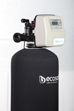 Фильтр для удаления сероводорода Ecosoft FPC 1354CT