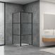 Душова кабіна DUSEL DL198BP + DL196BP 1000X1000X1900 / BLACK MATT PAINT (DUSEL-141), Прозоре скло