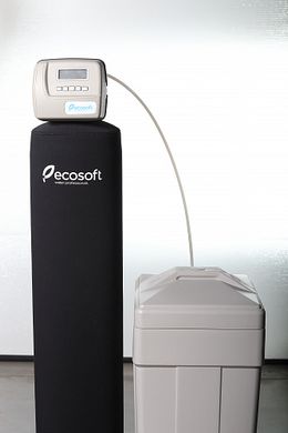 Фильтр обезжелезивания и смягчения воды Ecosoft FK1665CEMIXC