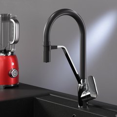 Смеситель для кухни AM.PM LIKE/черный/с каналом для питьевой воды (F8007802)