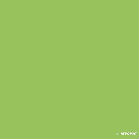 Керамогранит ALMERA CERAMICA RAINBOW GMM40160P GREEN