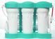 Фильтр обратного осмоса ECOSOFT P&rsquo;URE AQUACALCIUM MINT (MO675PUREMACECO)