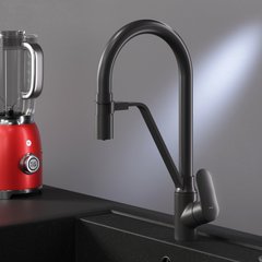 Змішувач для кухні AM.PM LIKE / чорний / з каналом для питної води / гнучким виливом (F8007822)