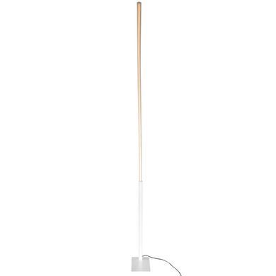 Торшер підлоговий світлодіодний BL-453F/27W WH