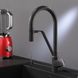 Змішувач для кухні AM.PM LIKE / чорний / з каналом для питної води / гнучким виливом (F8007822)