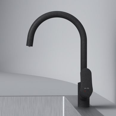 Змішувач для кухні AM.PM LIKE / чорний / з каналом для питної води (F8007722)