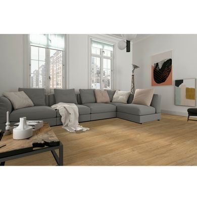 Керамограніт ALMERA CERAMICA DAKOTA NATURAL PRI