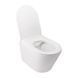 Комплект 3в1: Инсталляция для унитаза QTAP NEST ST (QT16335178W0133M425M08V1384W)
