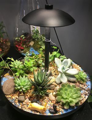 Підсвічування світлодіодне декоративне з рослинами BL-991T/10+5W WW BK LED