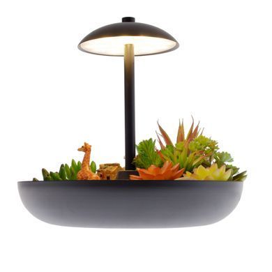 Підсвічування світлодіодне декоративне з рослинами BL-991T/10+5W WW BK LED