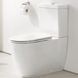 Напольный унитаз GROHE ESSENCE (3957200H)