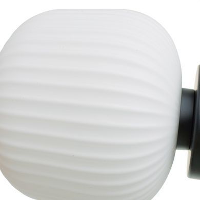 Люстра стельова Е27 60W BK (BR-01 476C/1)
