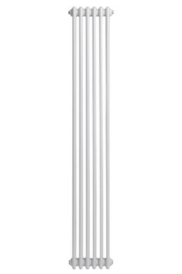 Вертикальні дизайнерські радіатори опалення ARTTIDESIGN Bari II 6/1800 білий матовий