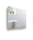 Дзеркальна шафа для ванної кімнати ЗШ-80x70