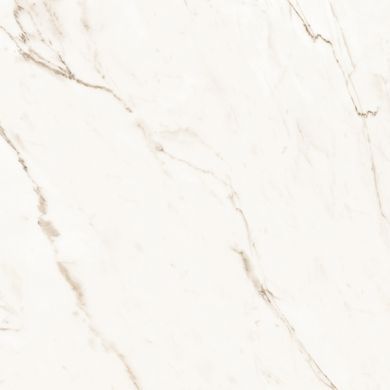 CERAMA MARKET CALACATTA GOLD 60х60 плитка для пола и стен
