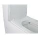 Підлоговий унітаз QTAP STORK + сидіння SOFT CLOSE (QT15222178W)