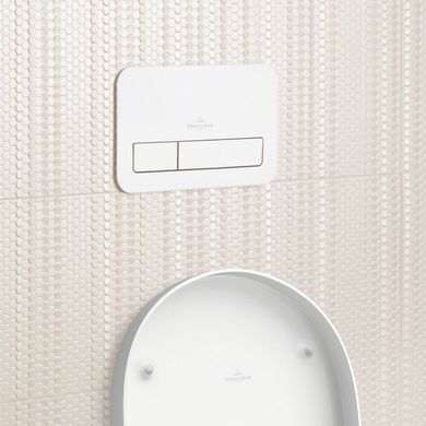 Клавиша смыва для унитаза VILLEROY & BOCH VICONNECT / хром / глянцевая (92249068)