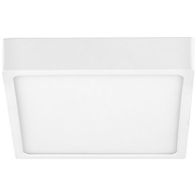 Светильник точечный светодиодный LED-491/12W NW